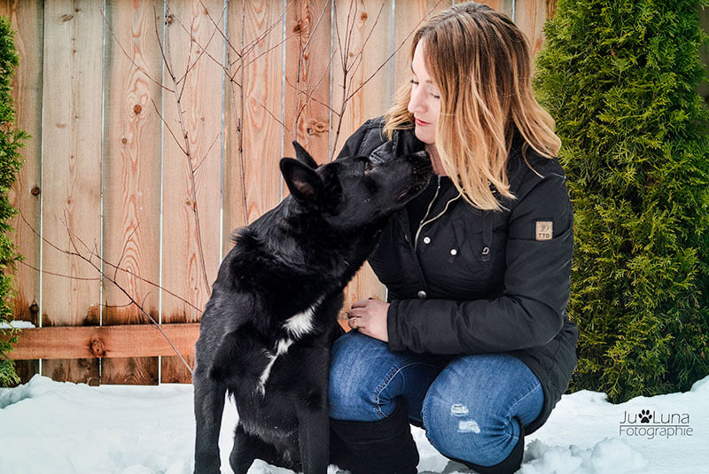 Taking the dog on holiday